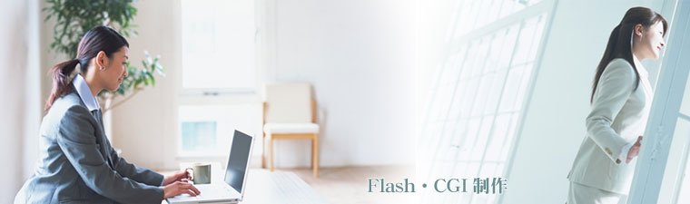 Flash�ECGI����